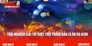 Trải Nghiệm Giải Trí Vượt Trội Trong Bắn Cá Ăn Xu ACB8