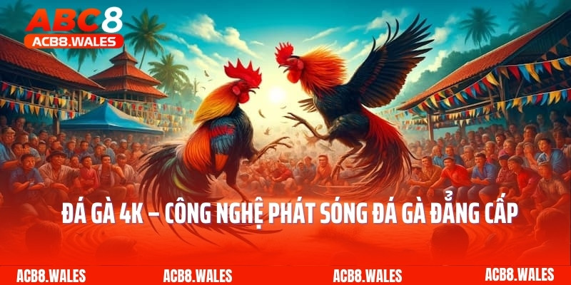 Đá Gà 4K – Công Nghệ Phát Sóng Đá Gà Đẳng Cấp