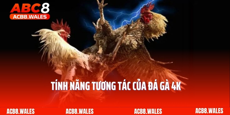 Tính năng tương tác của đá gà 4K