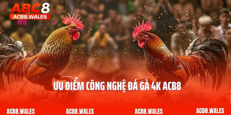 Ưu điểm công nghệ đá gà 4K ACB8