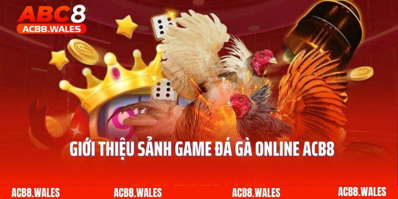 Giới thiệu sảnh game đá gà online ACB8