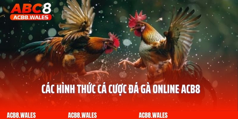 Các hình thức cá cược đá gà online ACB8