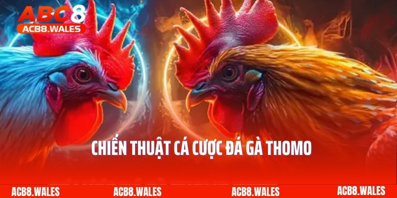 Chiến thuật cá cược đá gà Thomo