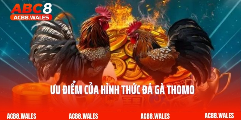 Ưu điểm của hình thức đá gà Thomo