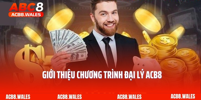 Giới thiệu chương trình đại lý ACB8