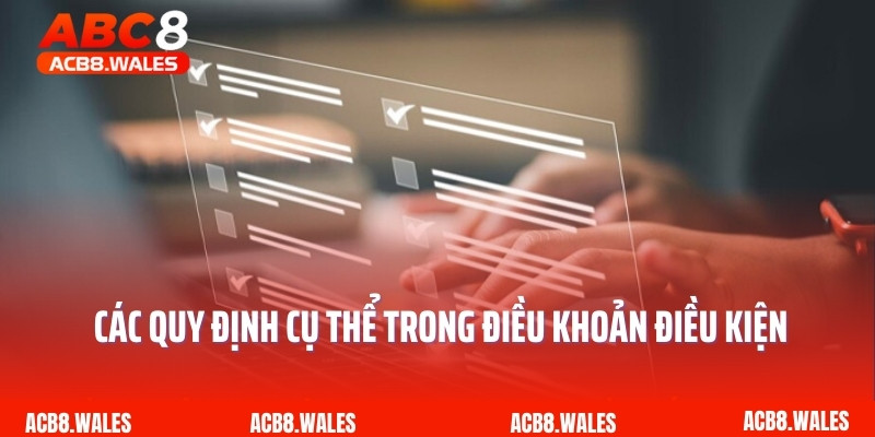 Các quy định cụ thể trong điều khoản điều kiện ACB8