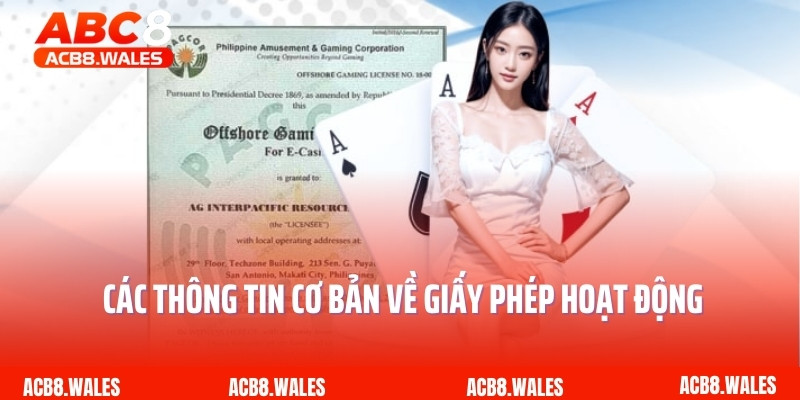Các thông tin cơ bản về giấy phép hoạt động ACB8