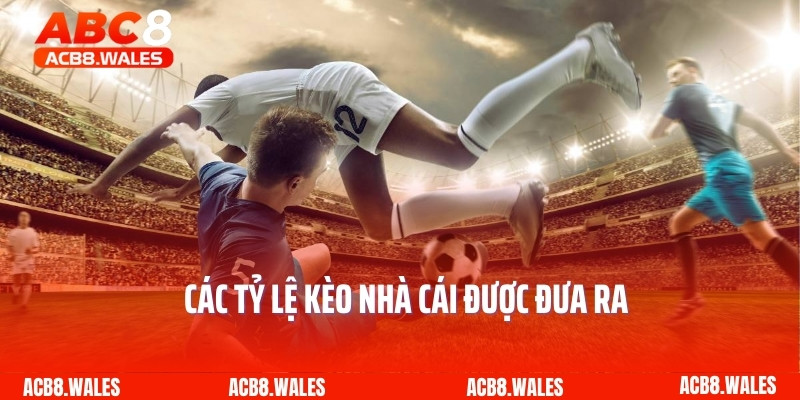 Các tỷ lệ kèo nhà cái được đưa ra