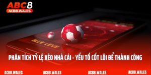 Phân Tích Tỷ Lệ Kèo Nhà Cái - Yếu Tố Cốt Lõi Để Thành Công