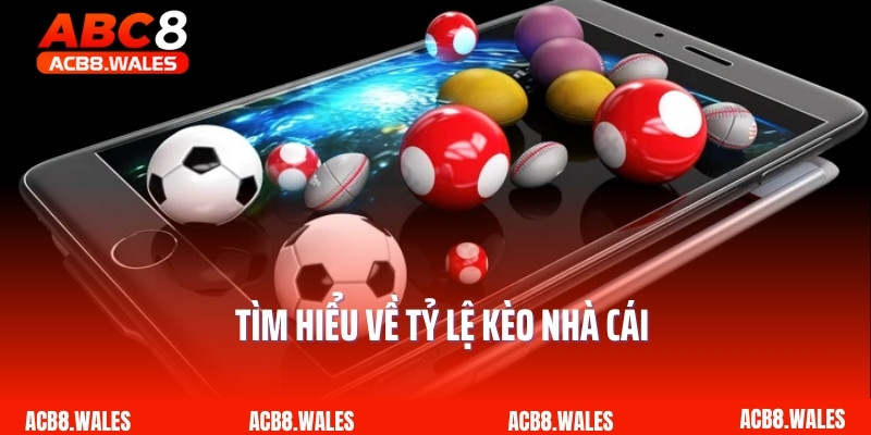 Tìm hiểu về tỷ lệ kèo nhà cái